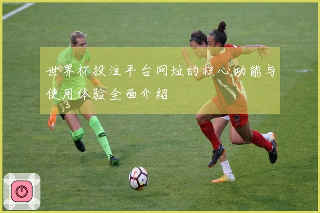 世界杯投注平台网址的核心功能与使用体验全面介绍