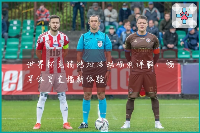 世界杯竞猜地址活动福利详解，畅享体育直播新体验